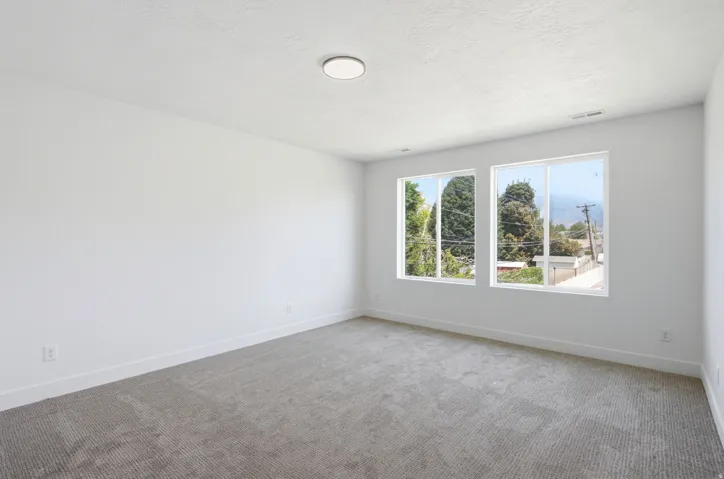 Neutral wall paint, plush carpeting, dual pane windows, and a flush mount ceiling light