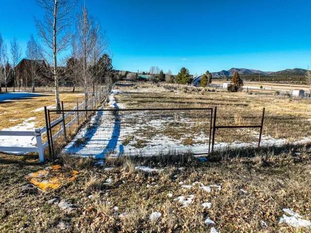 View of yard featuring a rural view and a mountain view