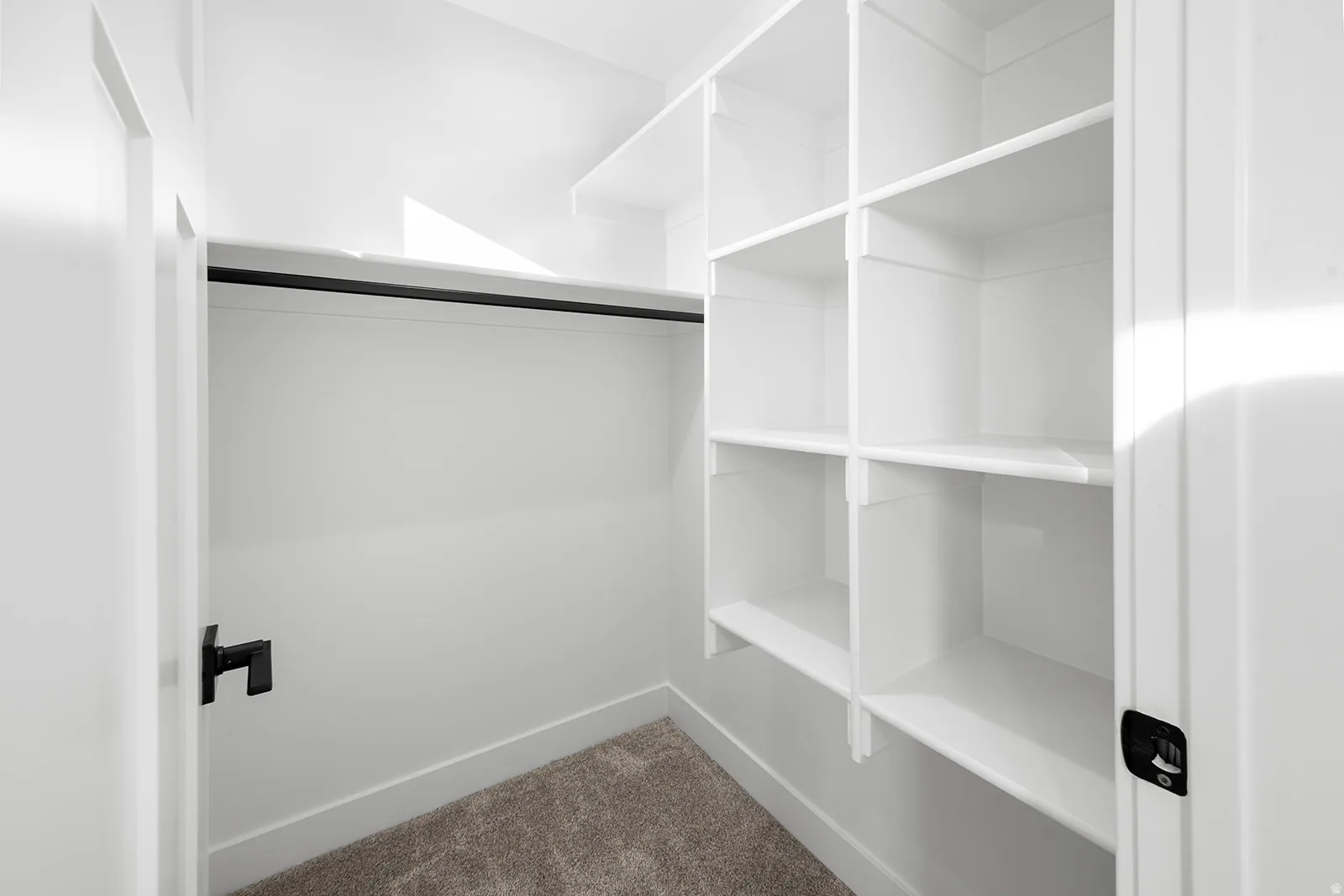 Walk in closet with dark carpet