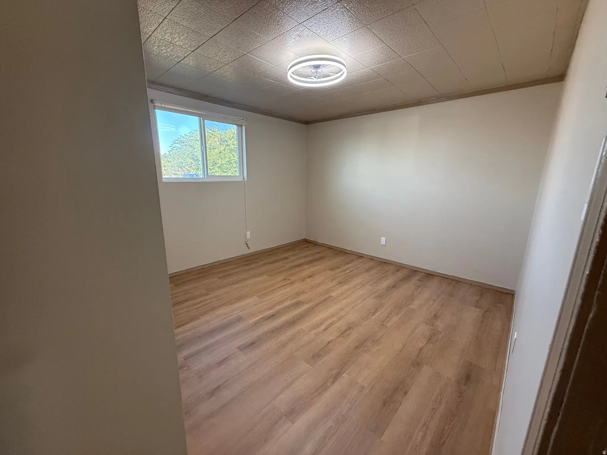Spacious room featuring wood-finish flooring, a window offering natural light, and a contemporary ceiling light fixture
