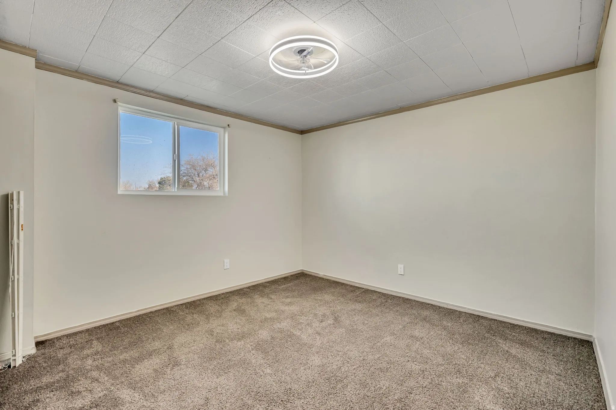 Unfurnished room with carpet and ornamental molding