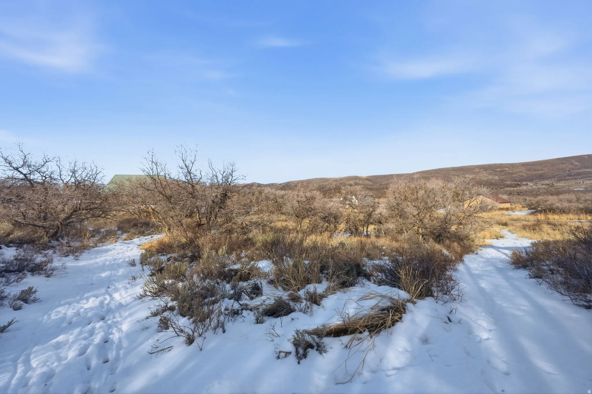 Snowy landscape