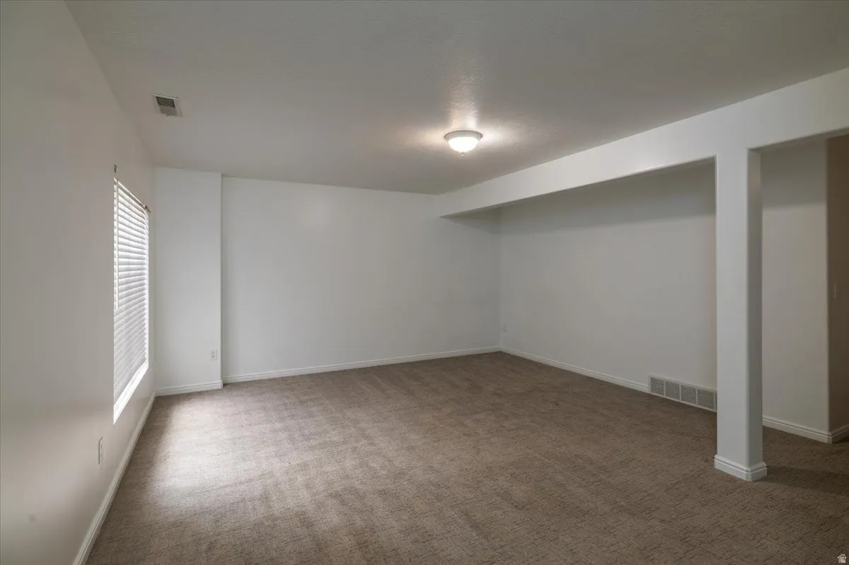 Basement bedroom/family room