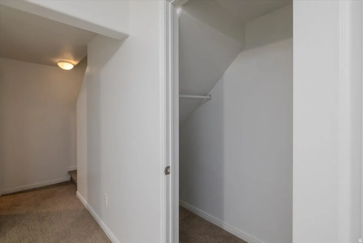 basement bedroom/family room closet
