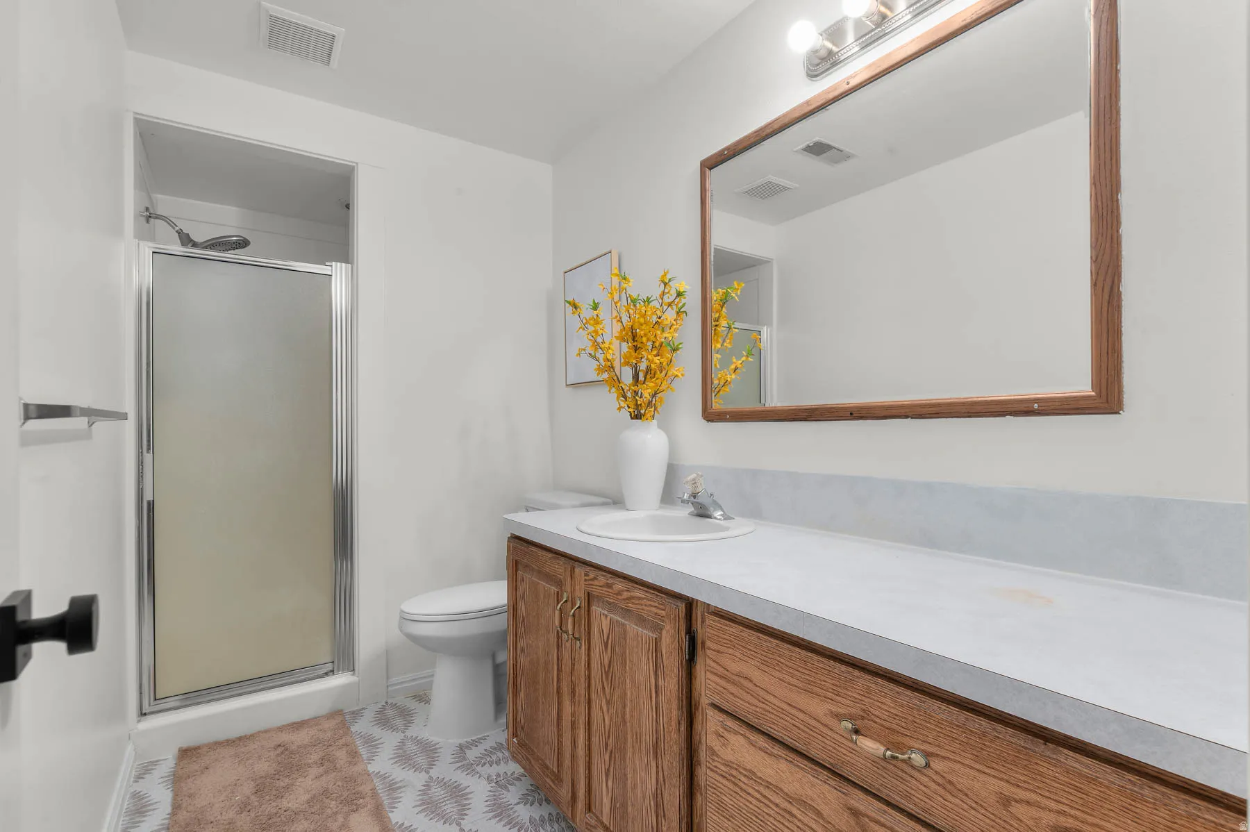 Lower level hallway bathroom