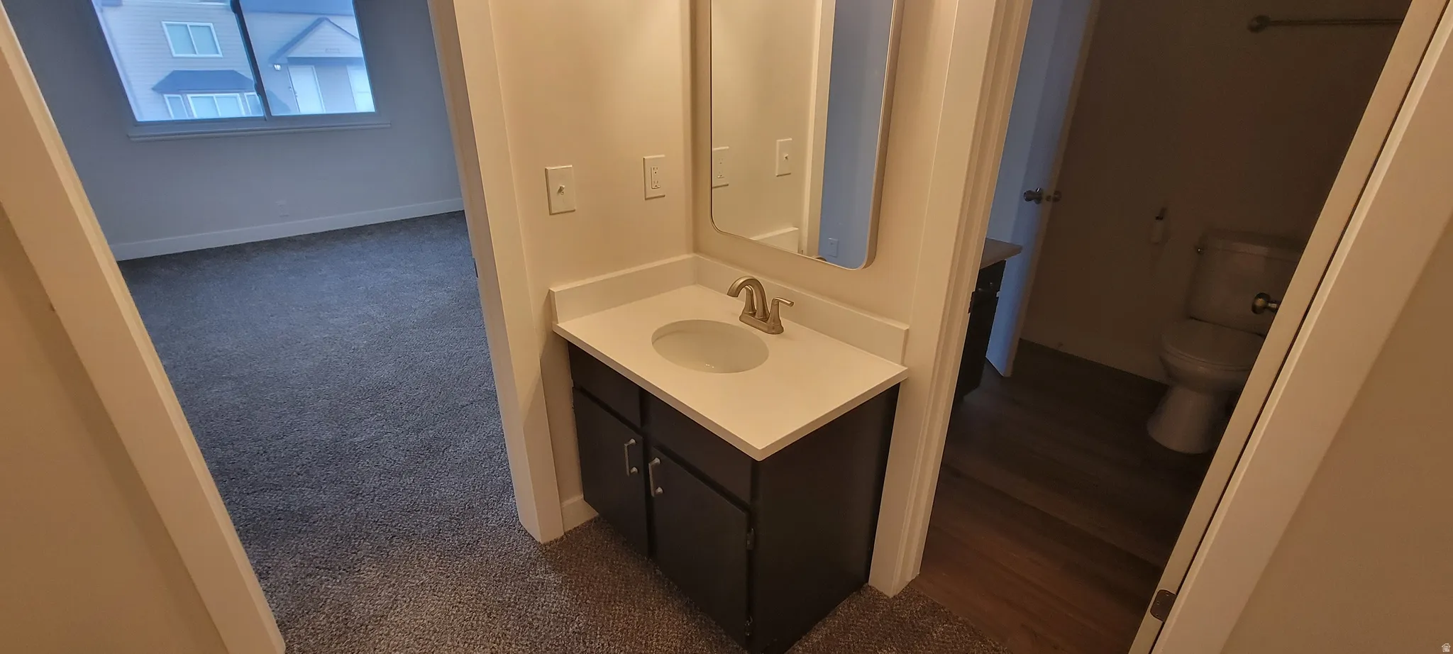 Bathroom featuring vanity and dark carpet