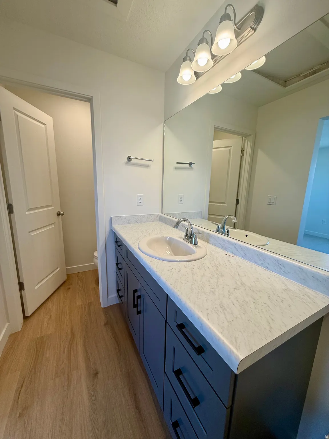 Bathroom featuring vanity and light wood-type flooring