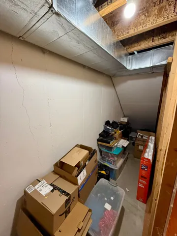 Under Stairs Storage