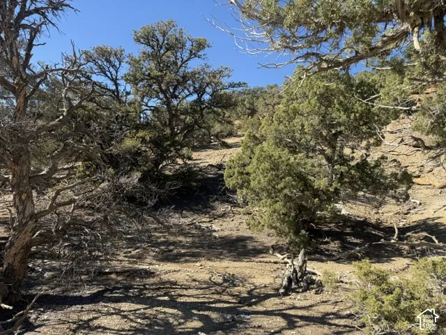 Sloped terrain featuring native juniper trees, rugged rock outcroppings, and natural desert landscape