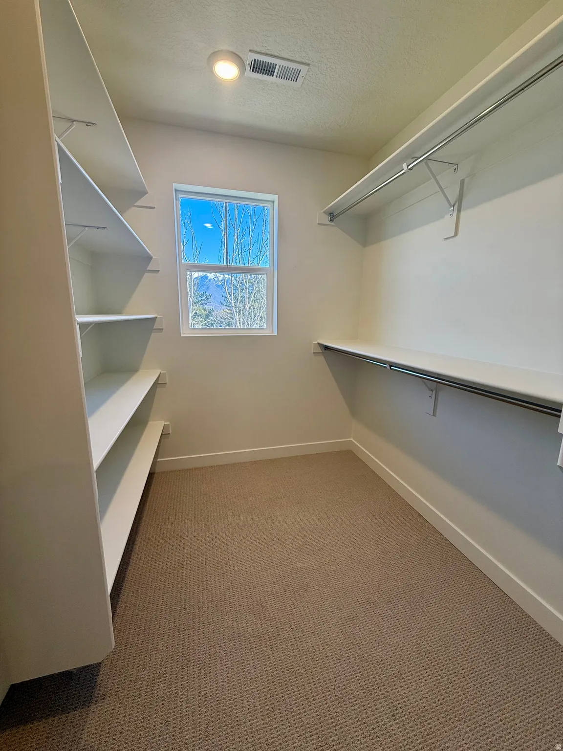 Walk in closet with light colored carpet