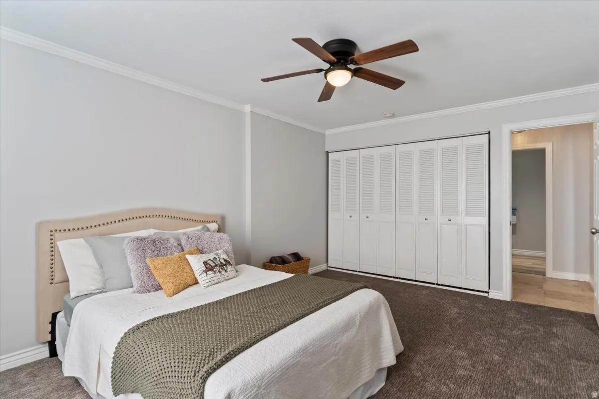 Bedroom featuring crown molding, carpet, ceiling fan, and a closet