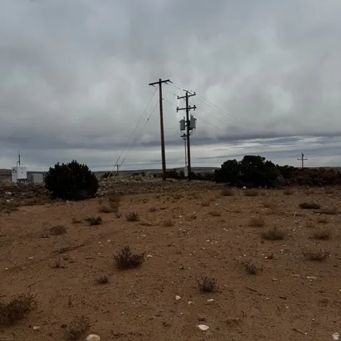 power lines sit at the top of the drive leading to the property.  right on the property line