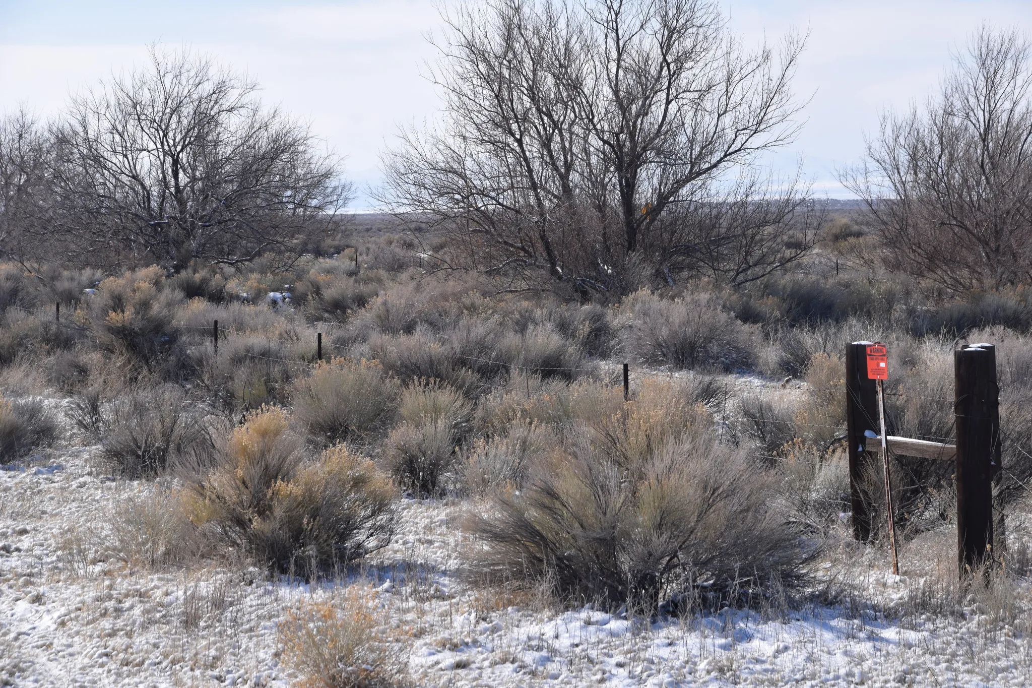 View of local wilderness