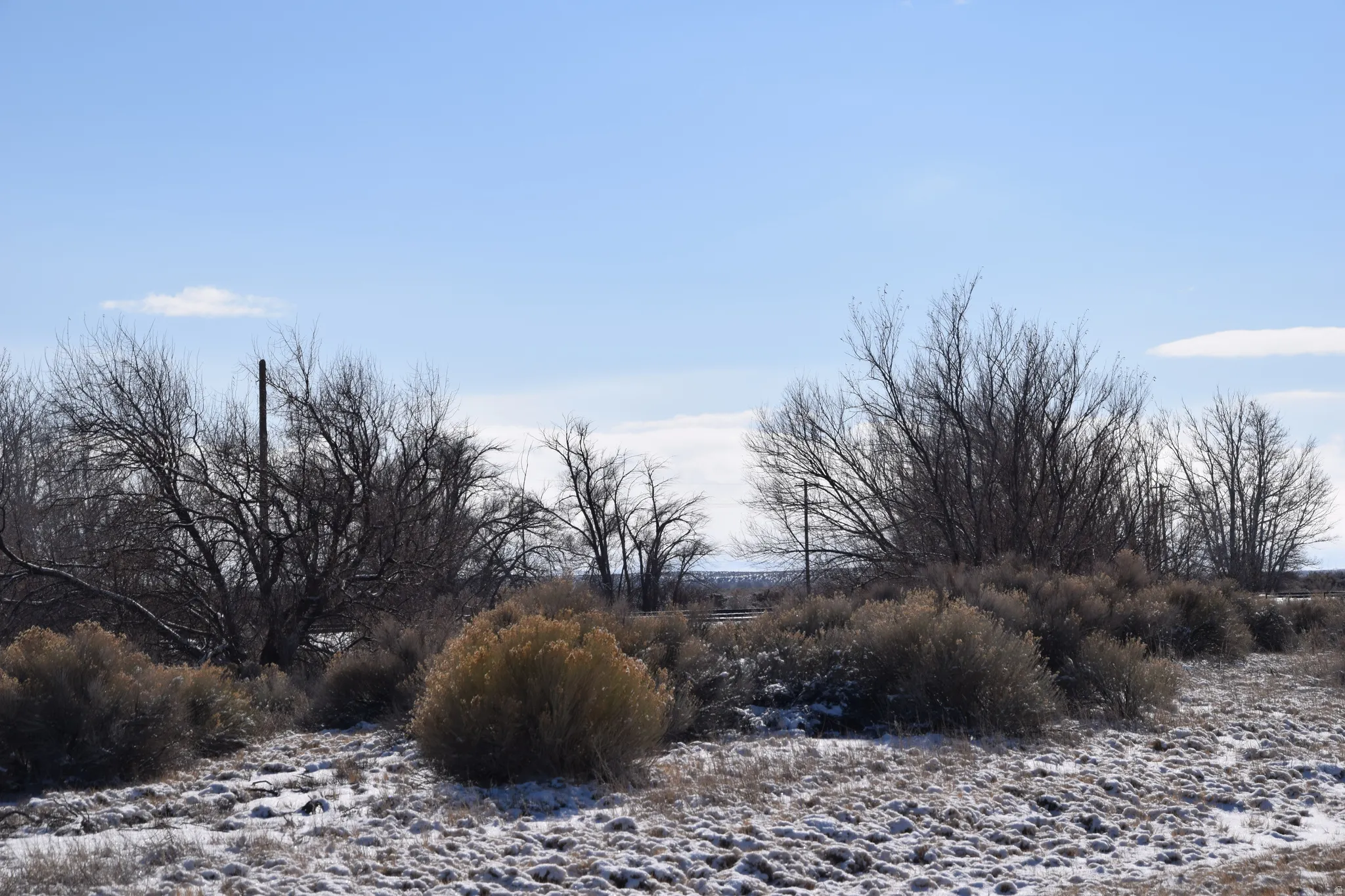 View of snow covered land