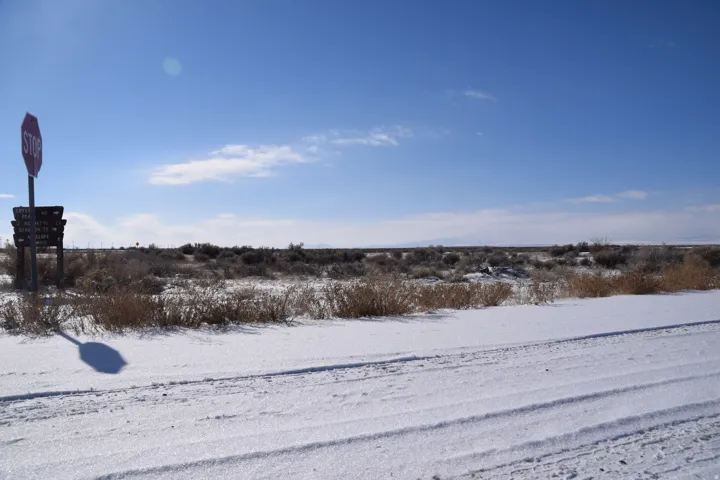 View of snowy yard