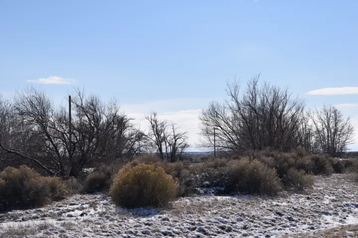 View of snow covered land