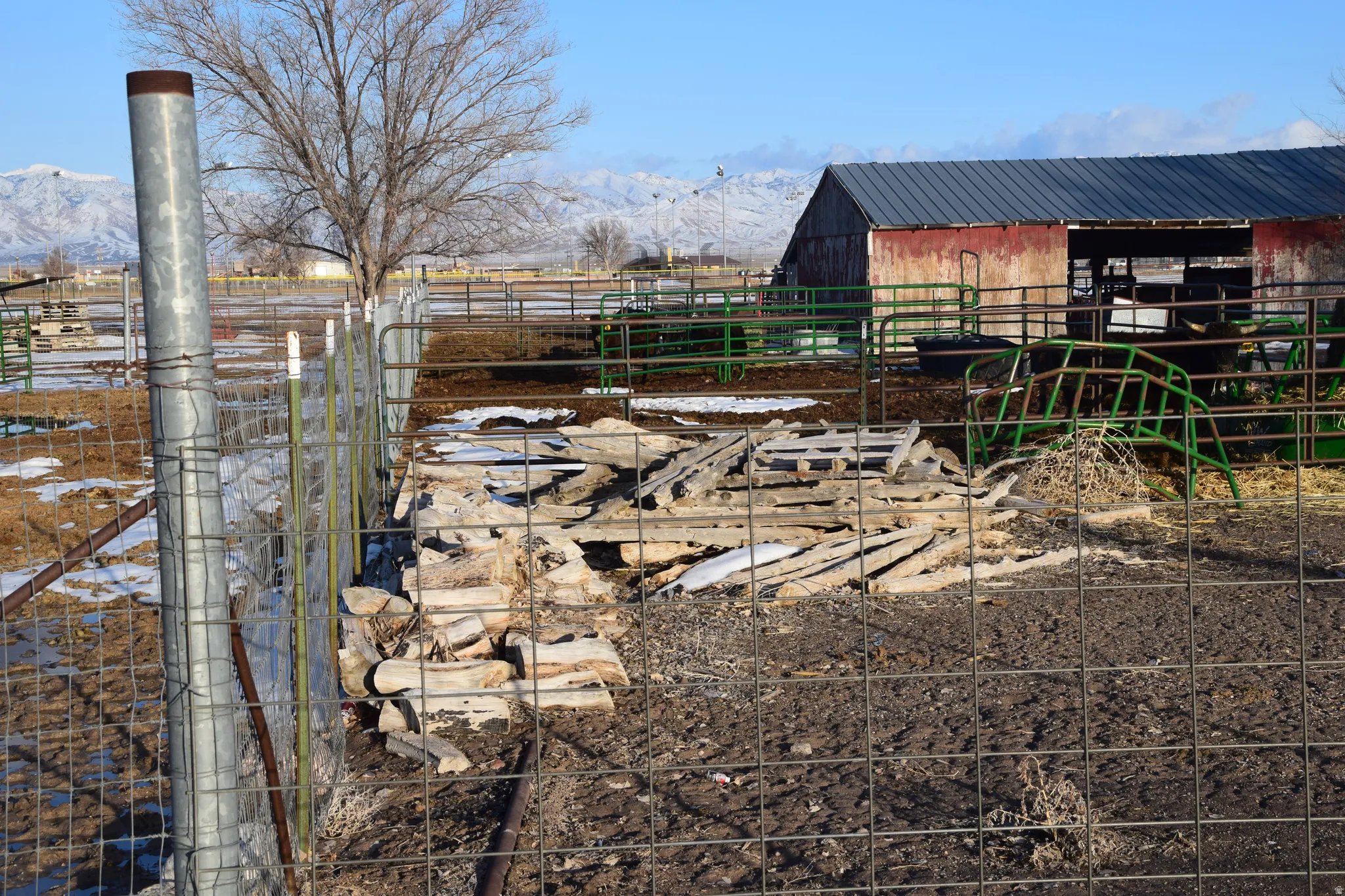 View of yard featuring an outbuilding, an exterior structure, and a mountain view