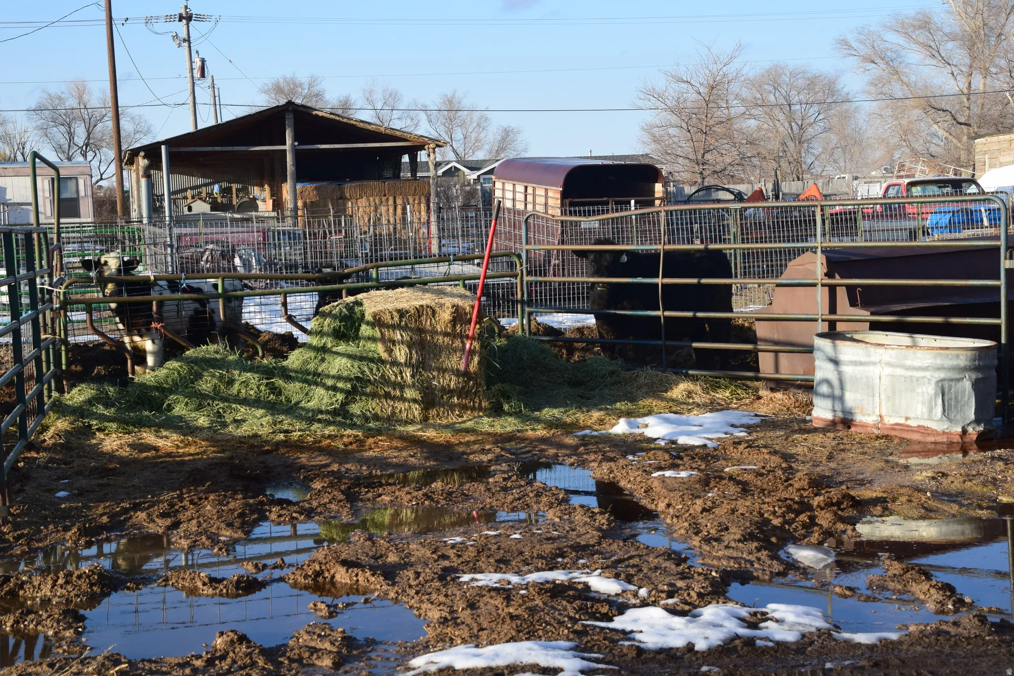View of yard with an outbuilding