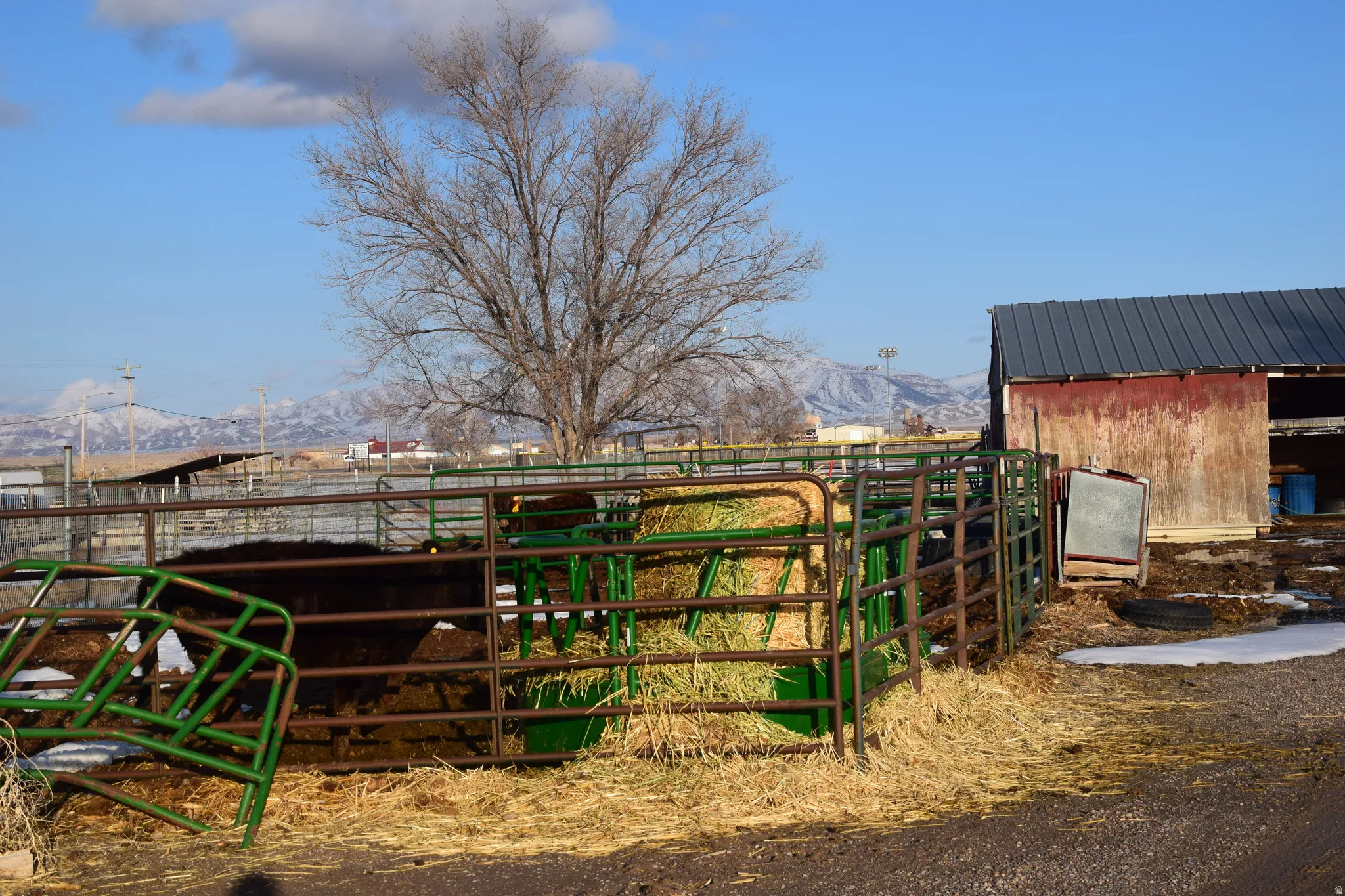 View of yard featuring an outdoor structure, a mountain view, and an exterior structure