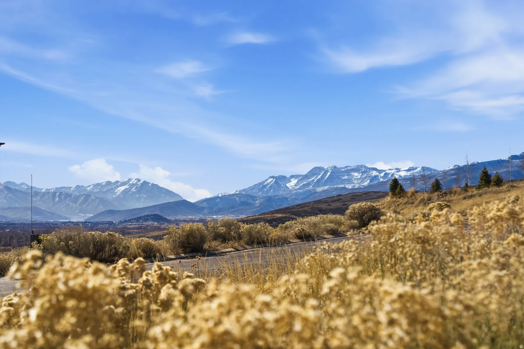 Mountain view