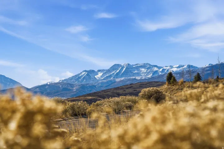View of mountain background