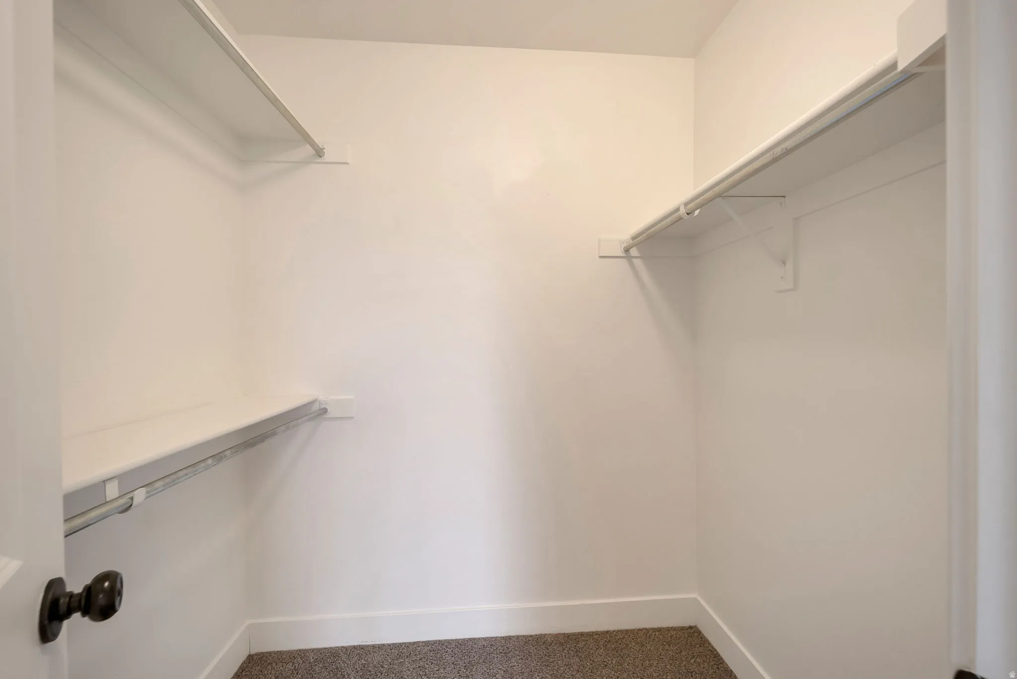Walk in closet featuring carpet floors