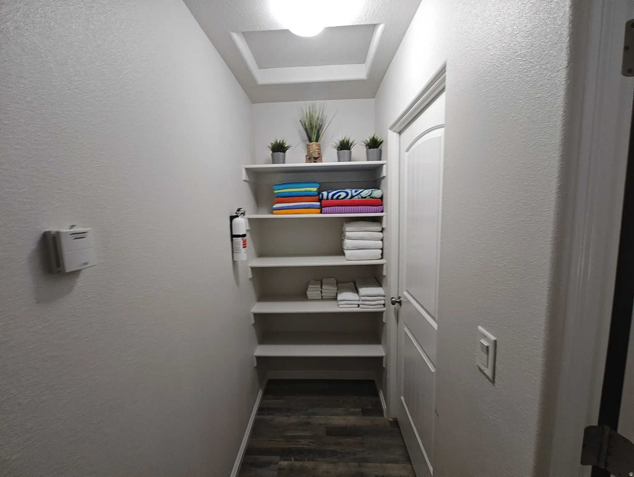 Spacious closet featuring dark wood-style floors