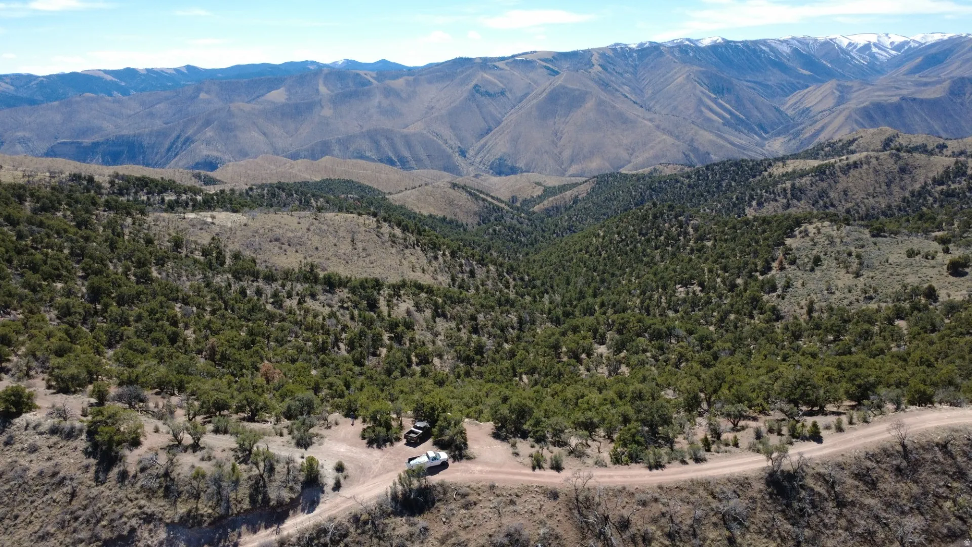 Mountain view featuring a heavily wooded area