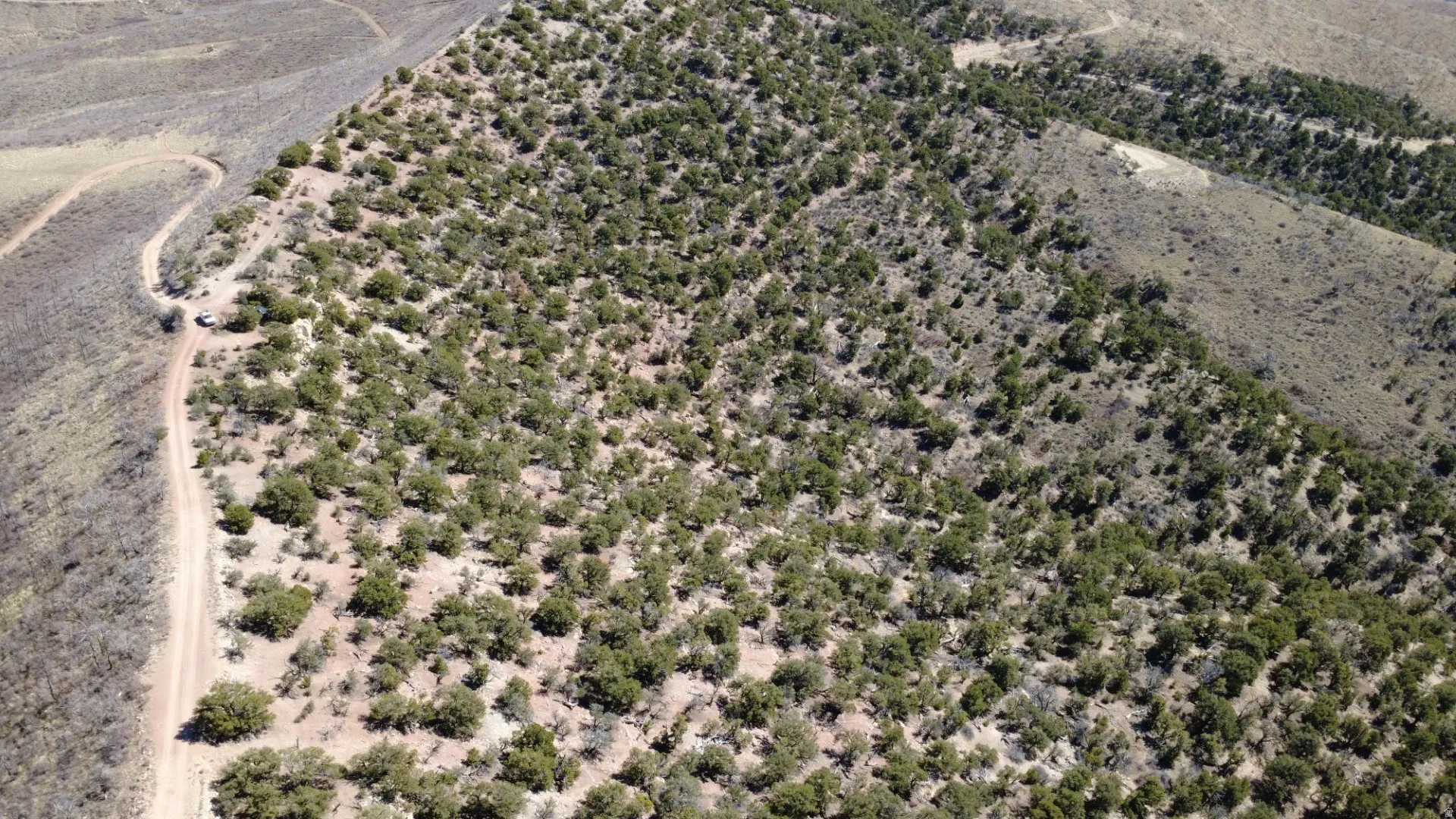Overview of rural landscape