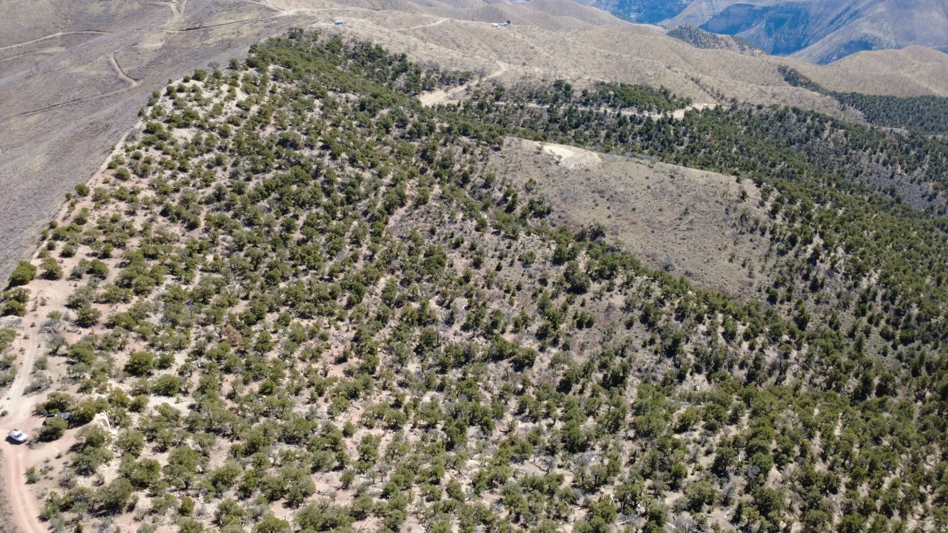 Bird's eye view of mountains