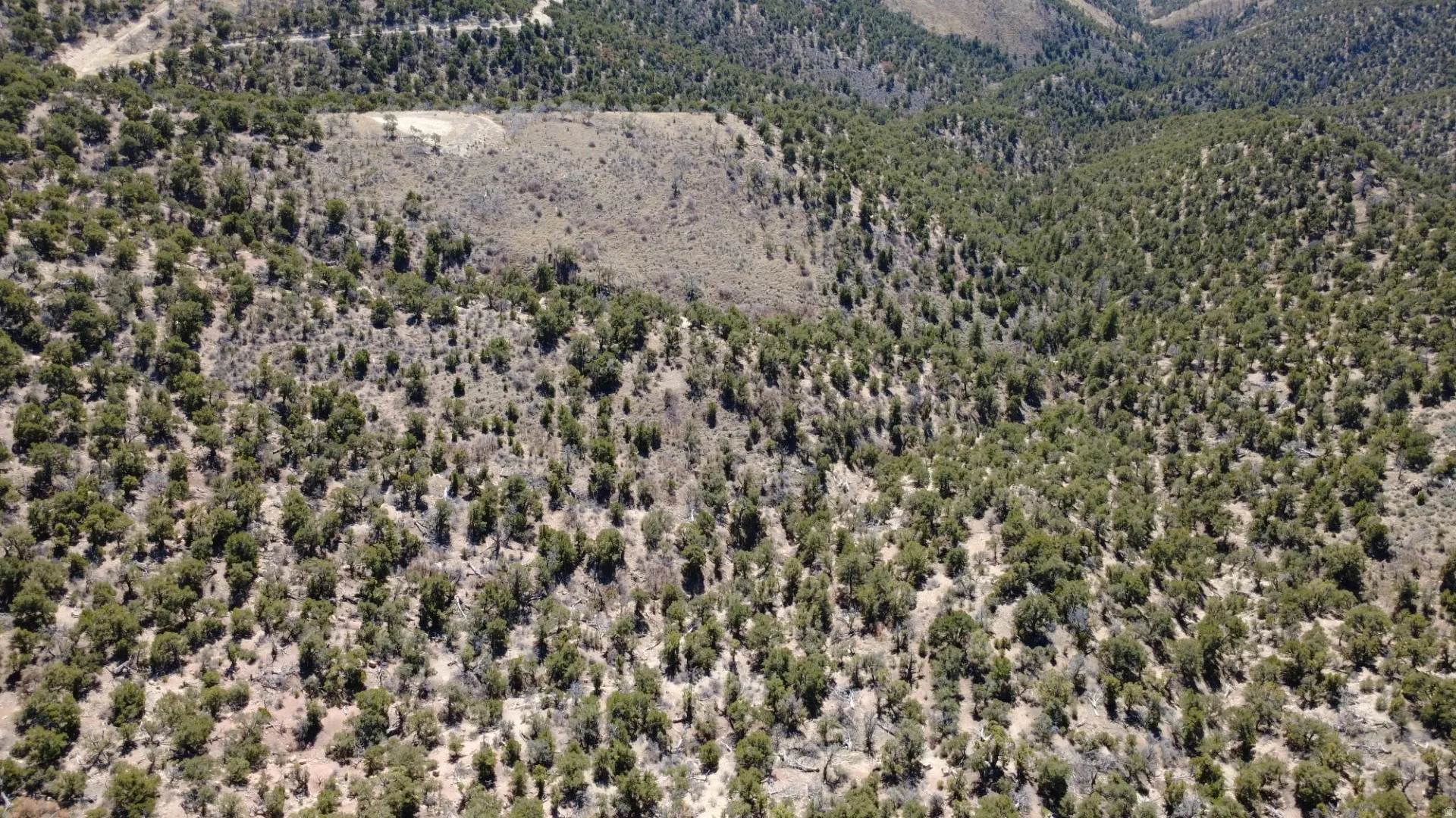 Bird's eye view of a heavily wooded area