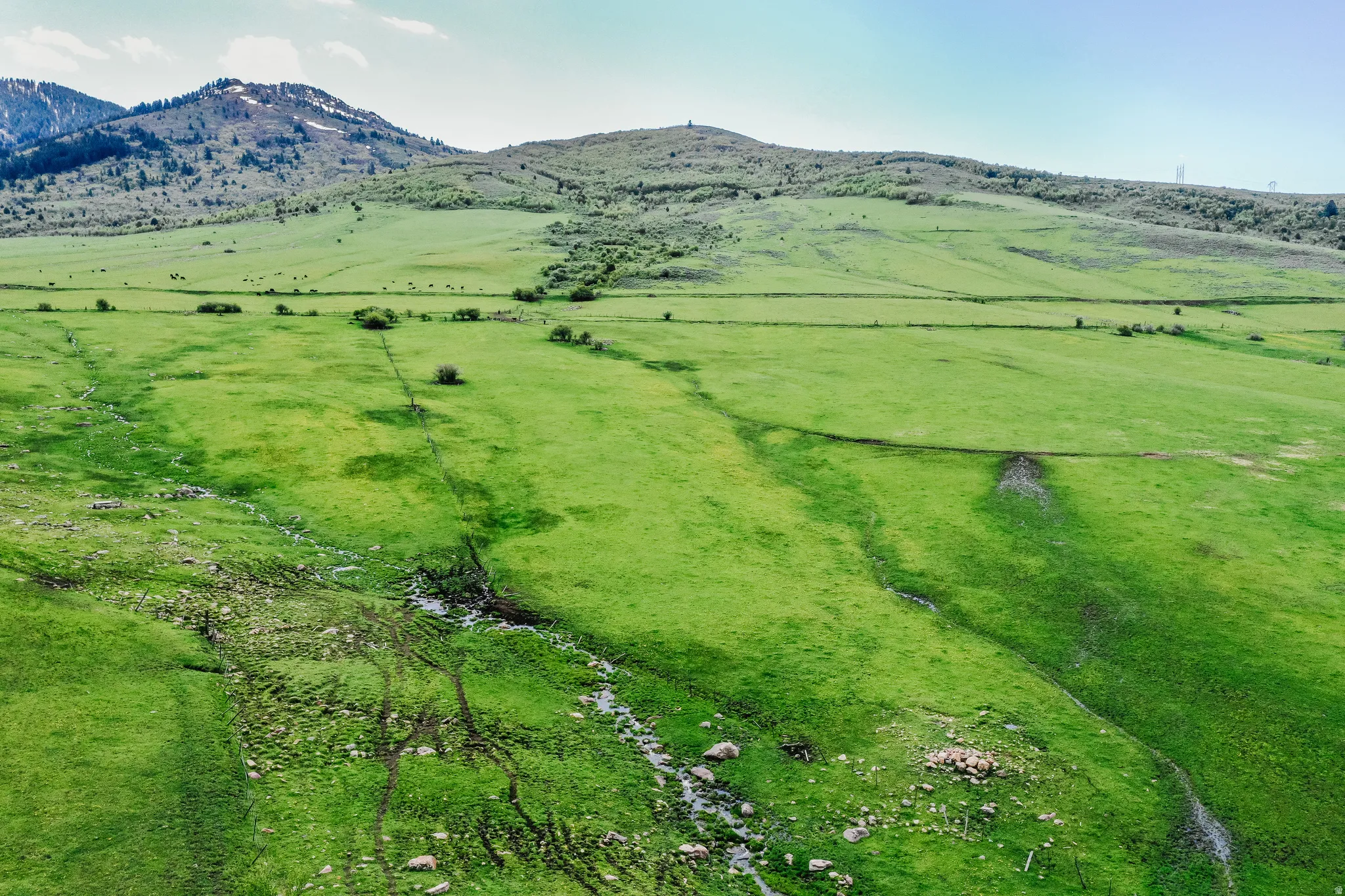 View of rural area with a pastoral area and mountains
