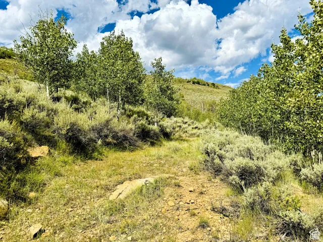 View of undeveloped land