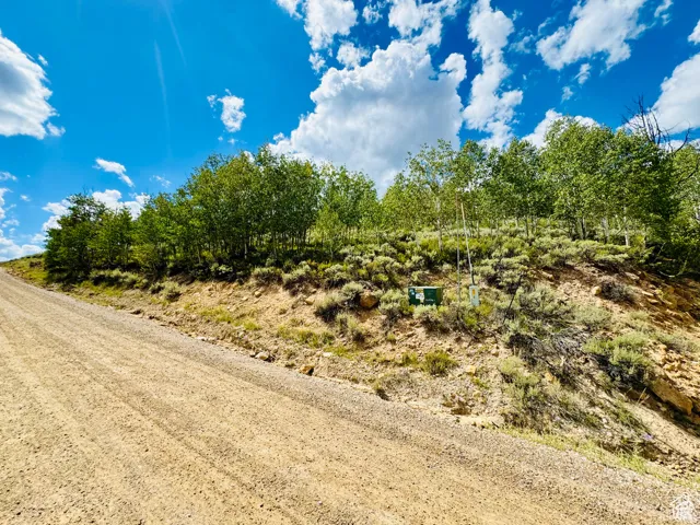 View of dirt / gravel road