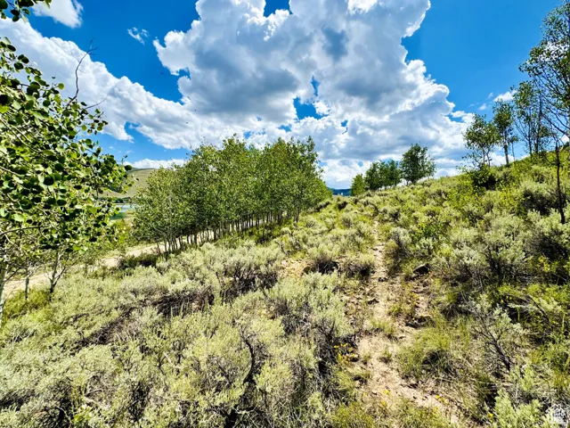 View of nature