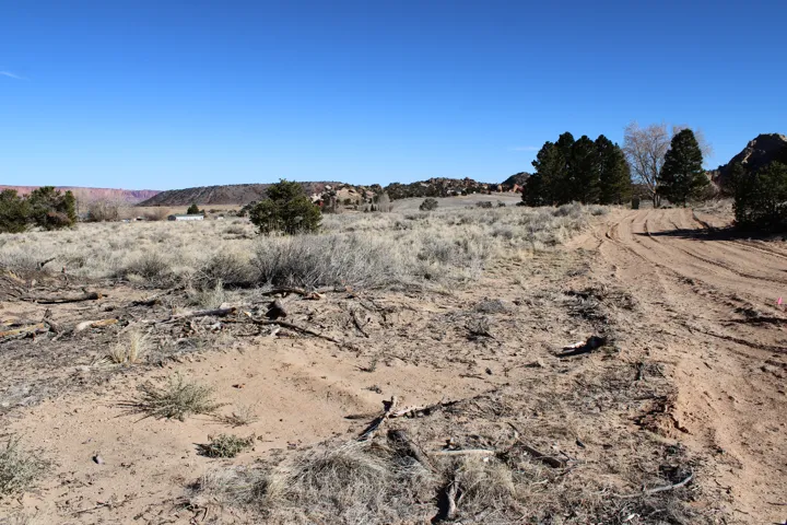 View of local wilderness with rural landscape