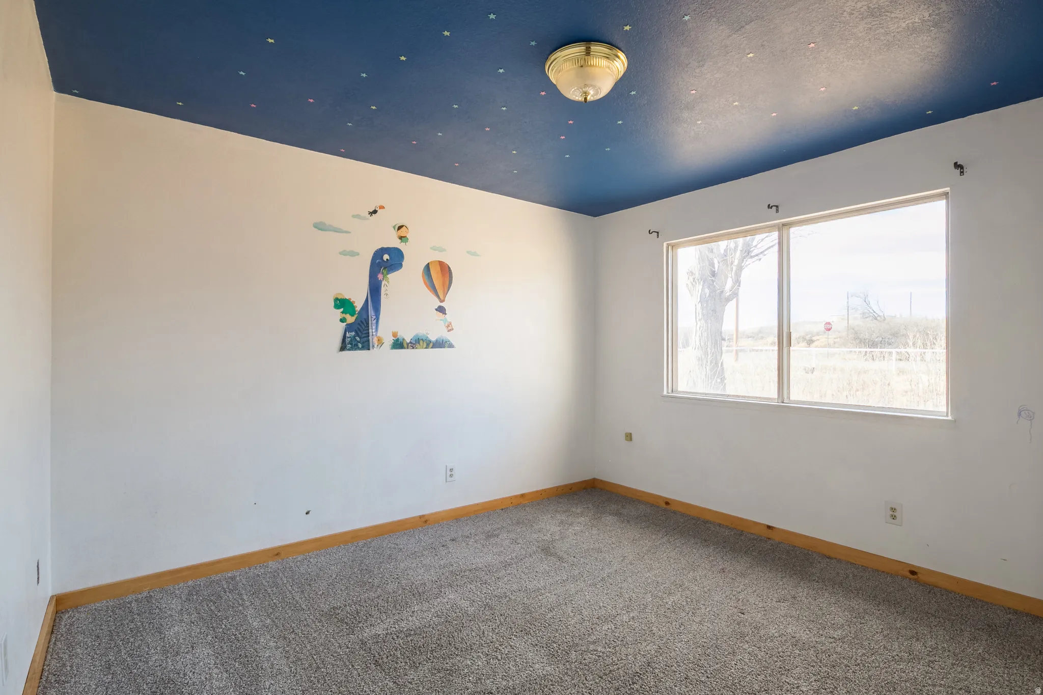 Carpeted spare room featuring baseboards
