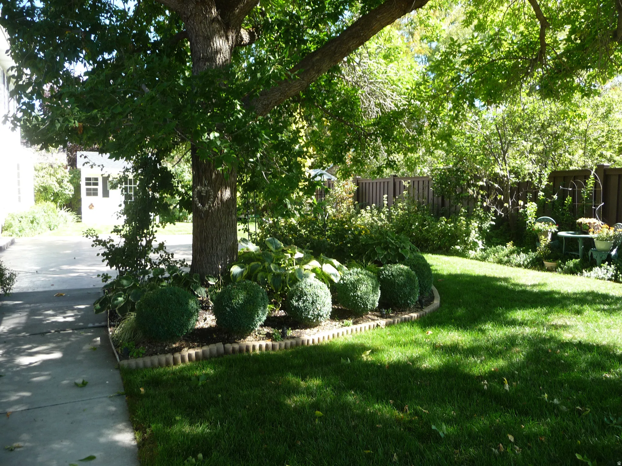 Spacious green lawn featuring a mature shade tree, manicured shrubs, and a decorative garden border