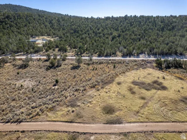 Bird's eye view of a forest