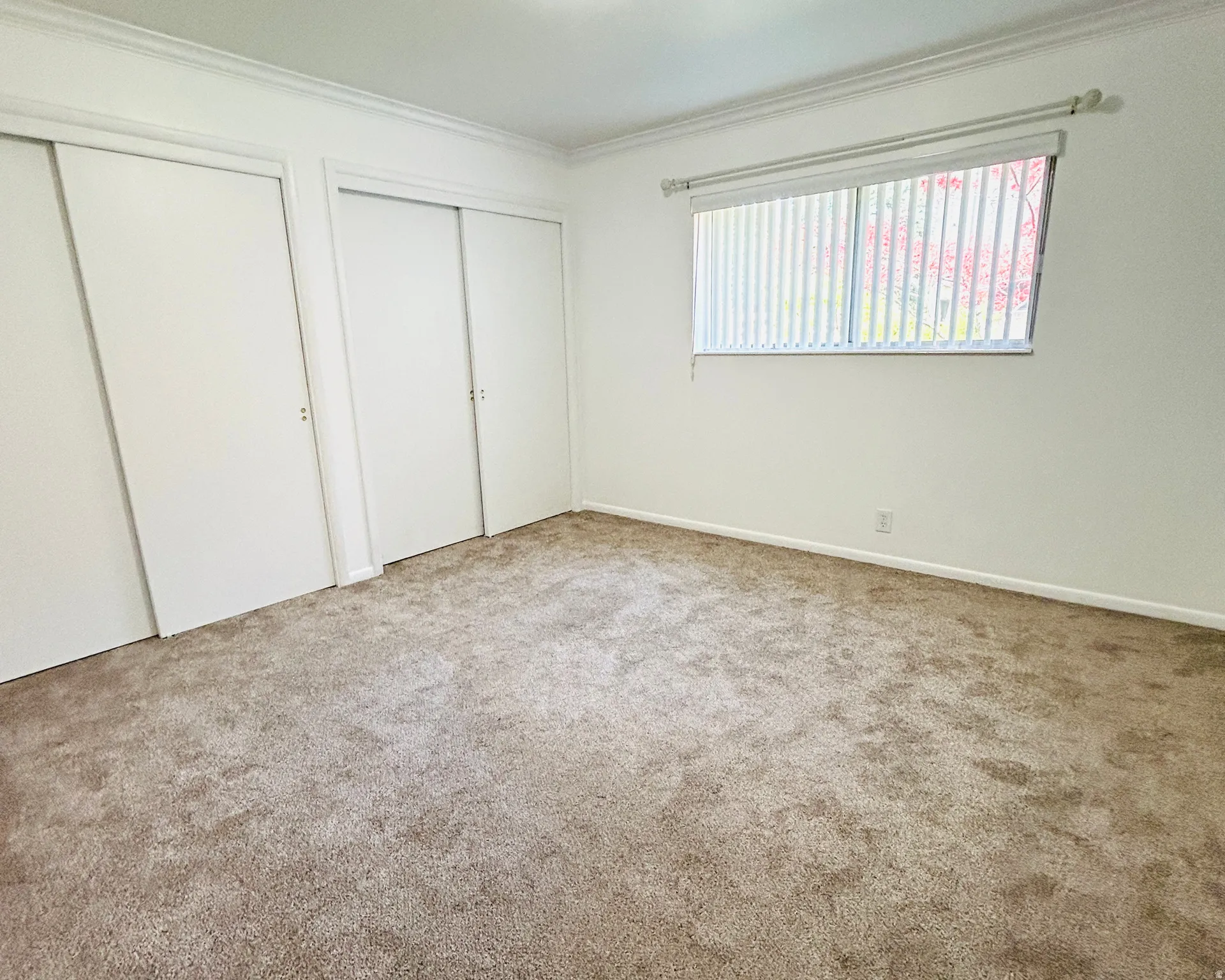 Primary bedroom featuring neutral carpeting and white walls.