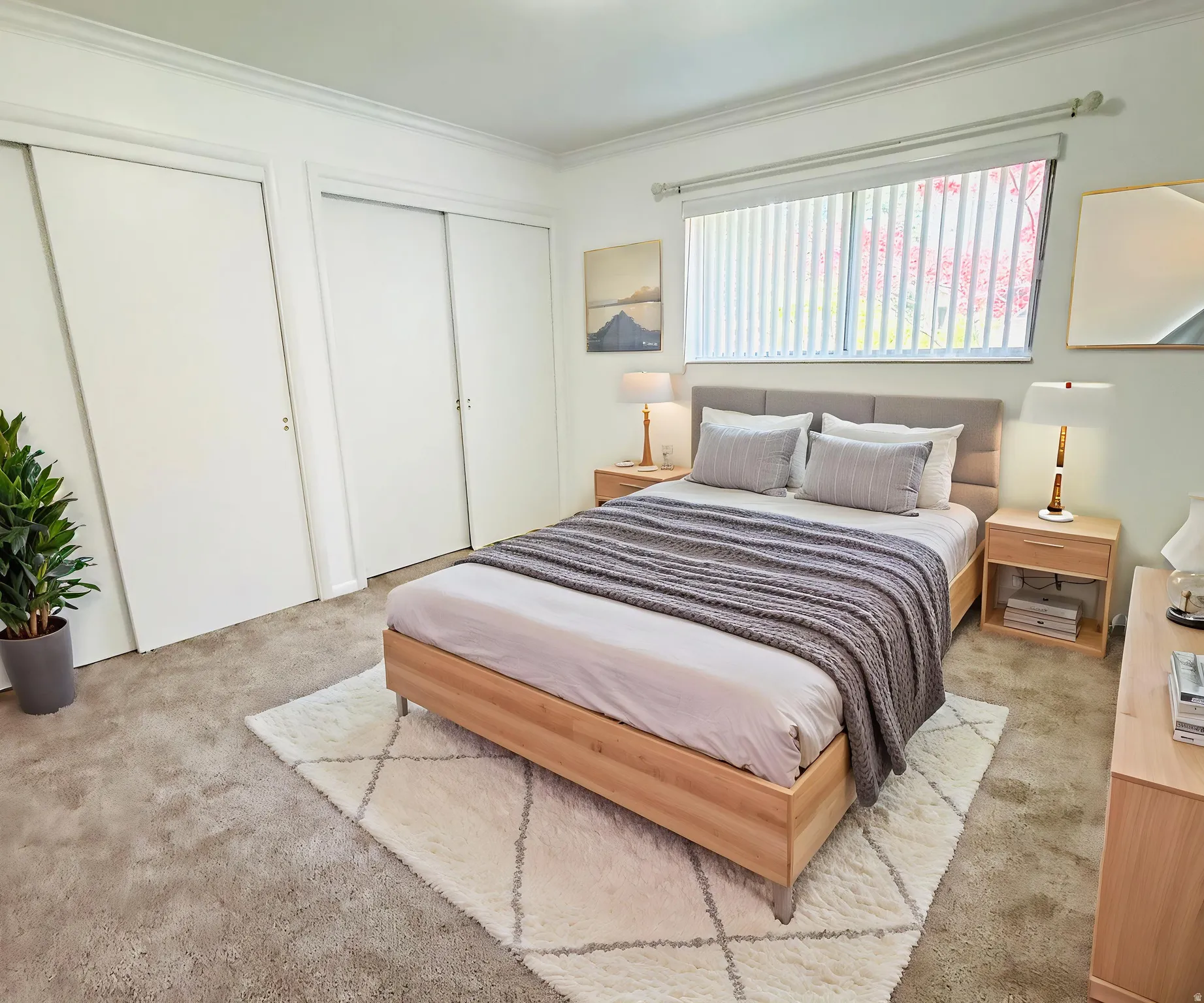 Virtually staged primary bedroom. Carpeted interior space featuring a large window with vertical blinds, crown molding, and two sets of white sliding closet doors