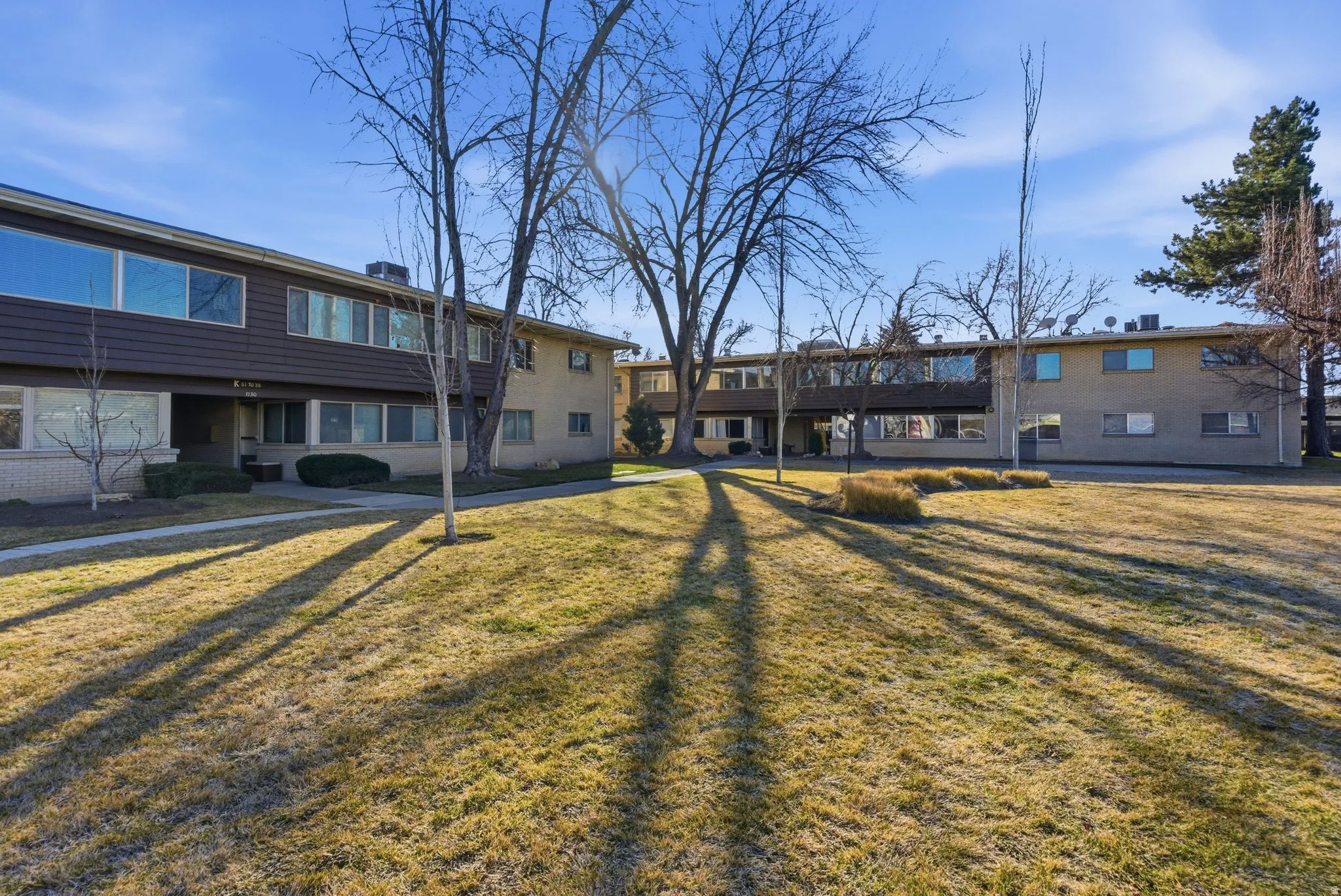 View of community yard