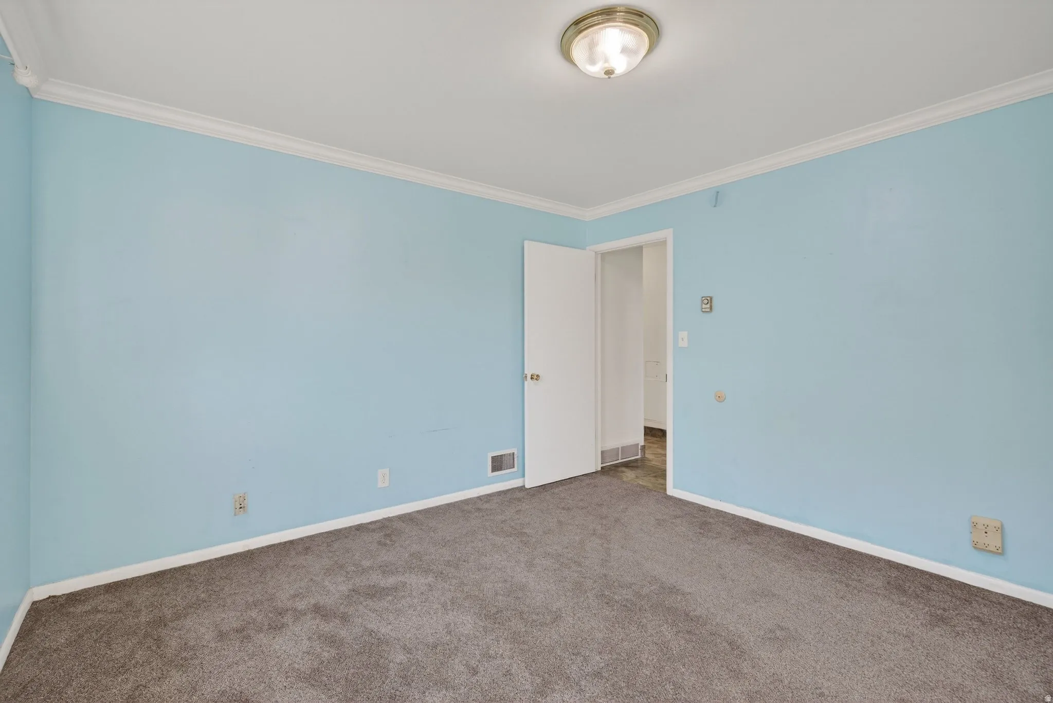 Carpeted room with ornamental molding