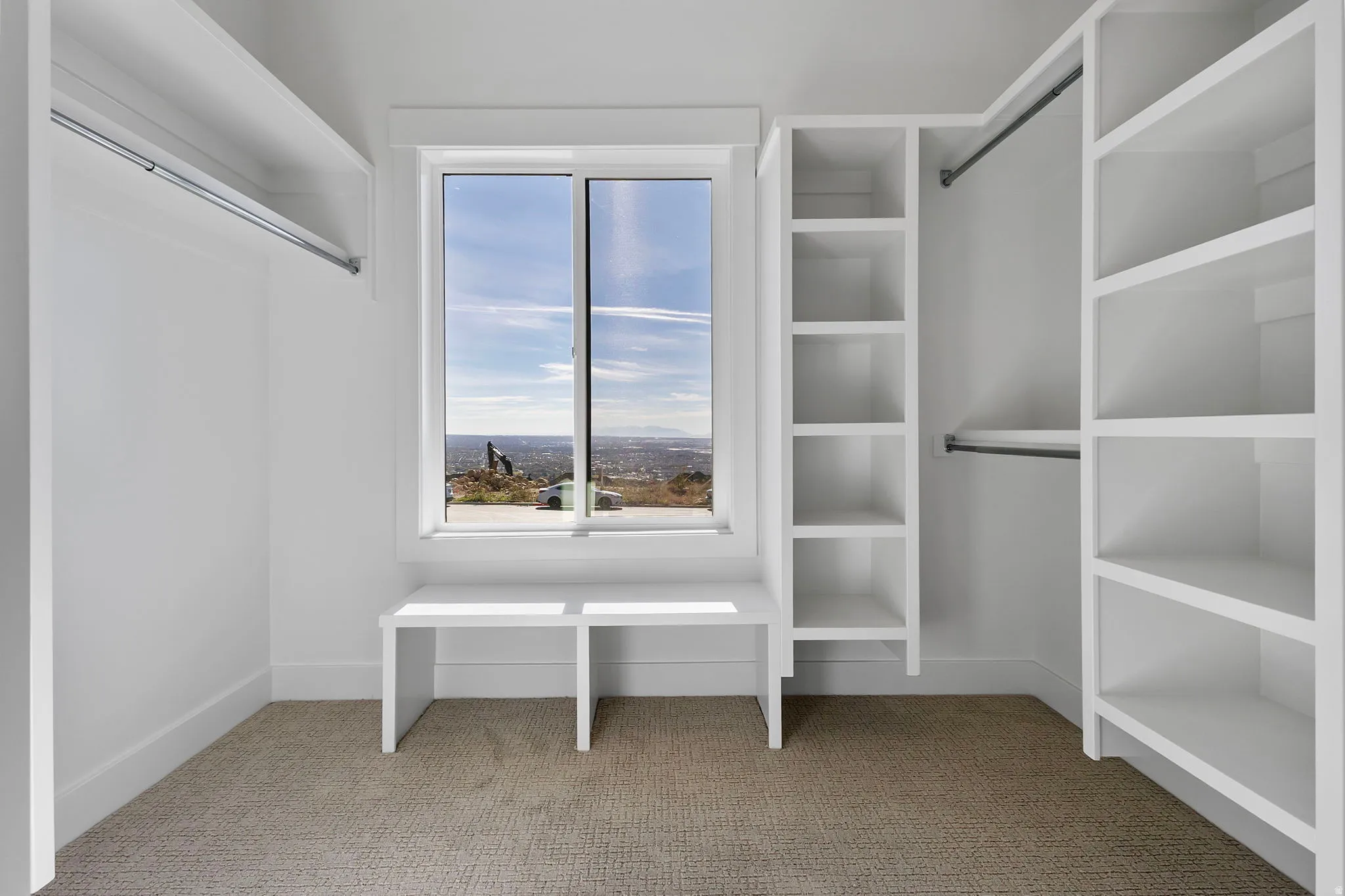 Walk in closet featuring light carpet