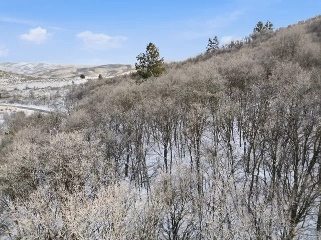 6559 E Chaparral Rd, Huntsville, Utah 84317