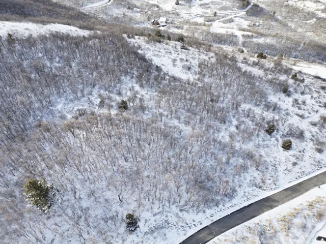 6559 E Chaparral Rd, Huntsville, Utah 84317