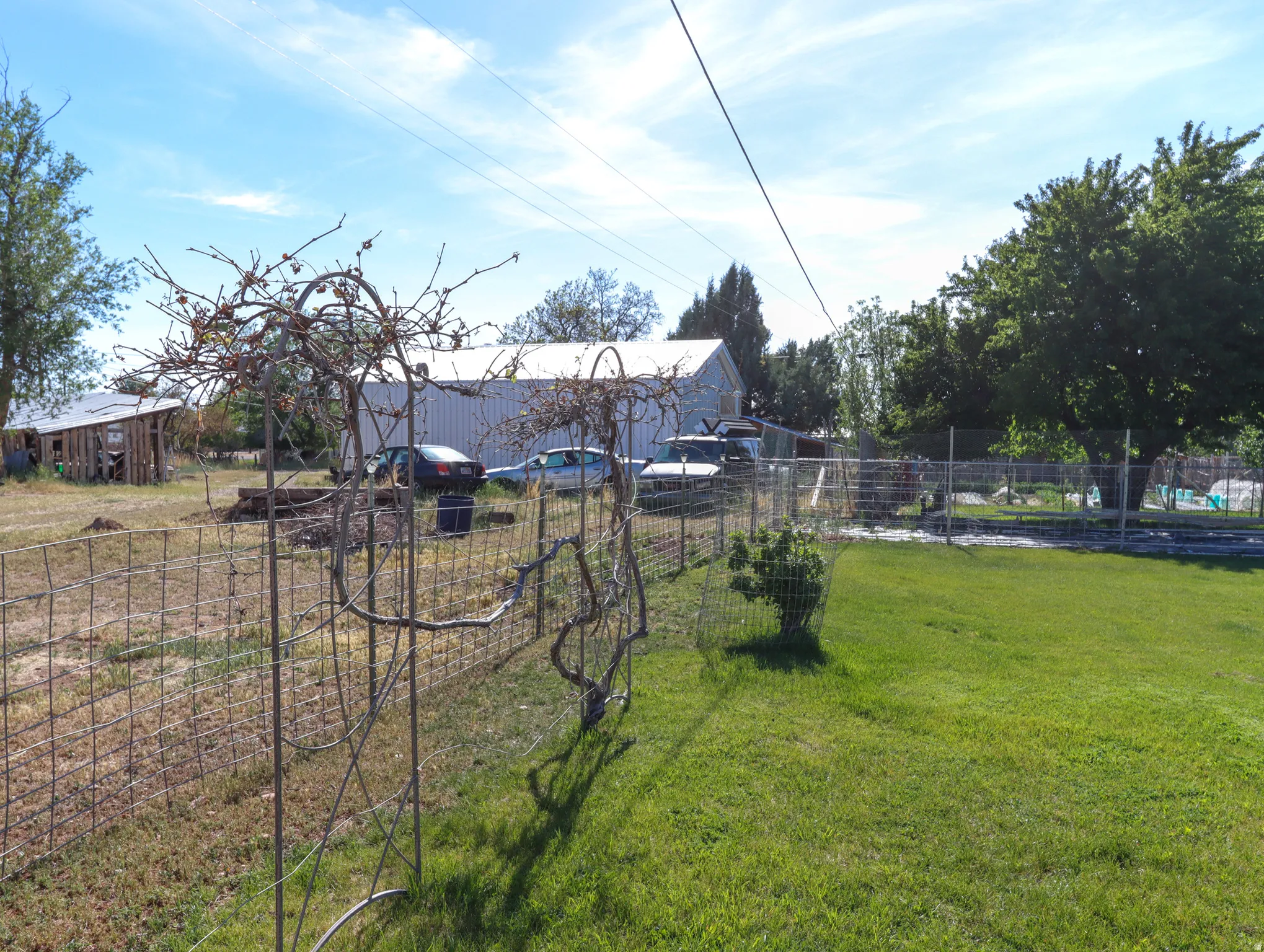 Expansive grassy yard area featuring a wire fence and mature trees