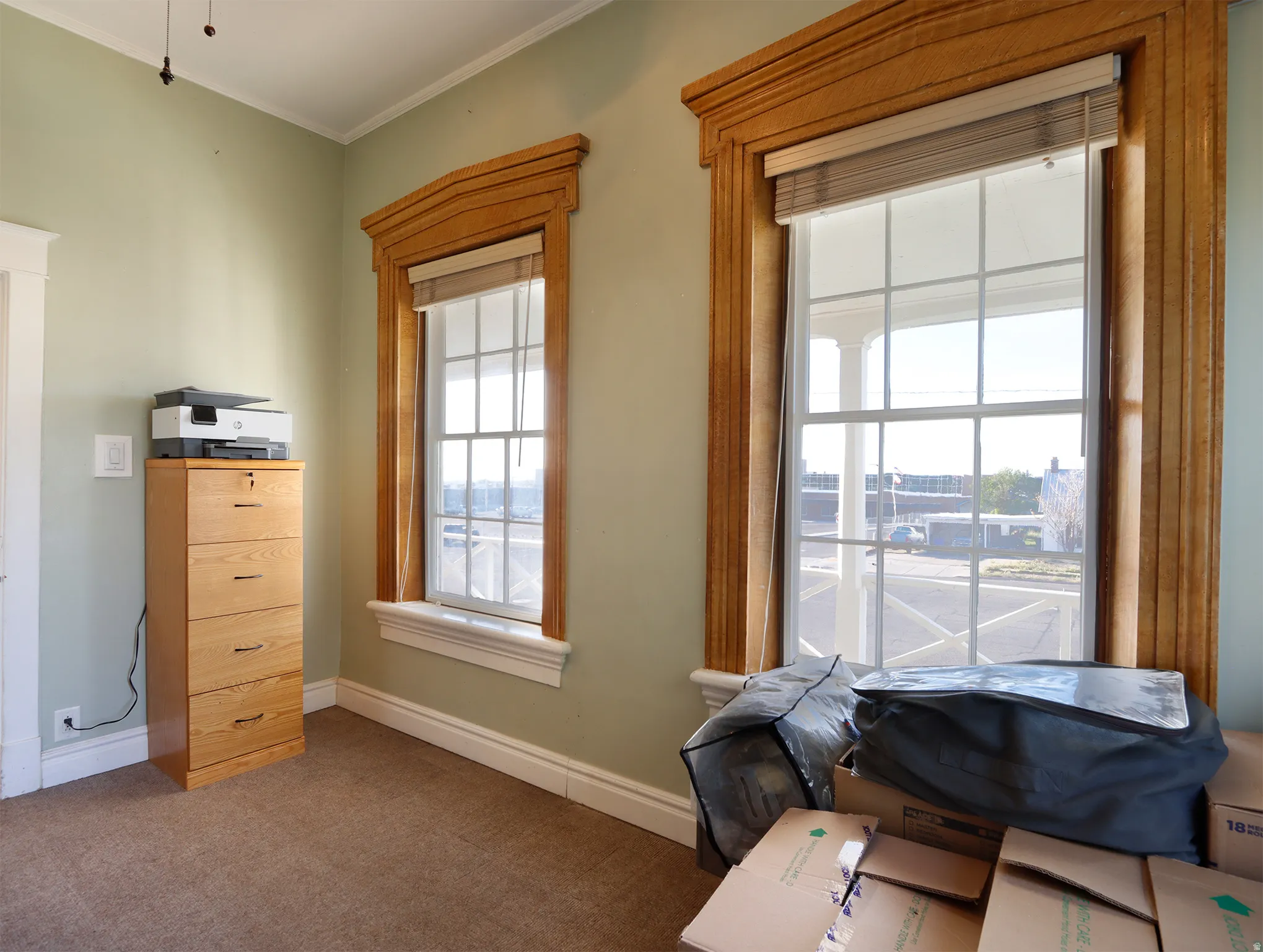 Dual pane windows featuring detailed wood trim and natural light, complemented by light green walls and plush carpeting