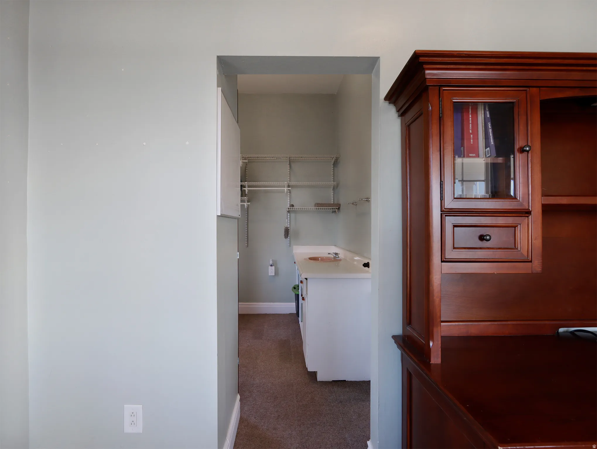 Dedicated laundry area with a white countertop and built-in shelving