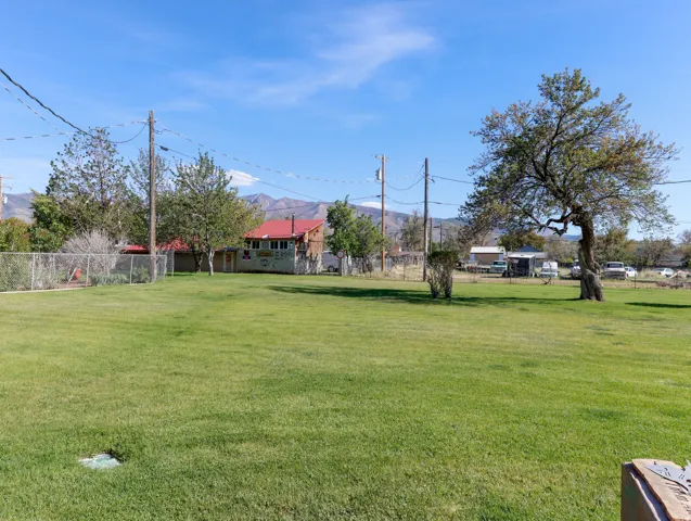 Expansive green lawn with mature trees and a chain-link fence